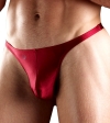 Joe Snyder Thong